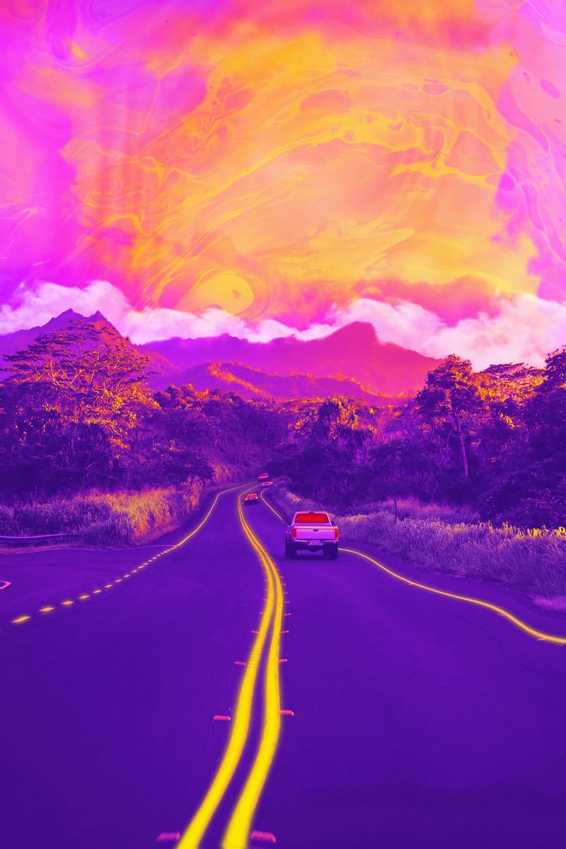 The Trip
