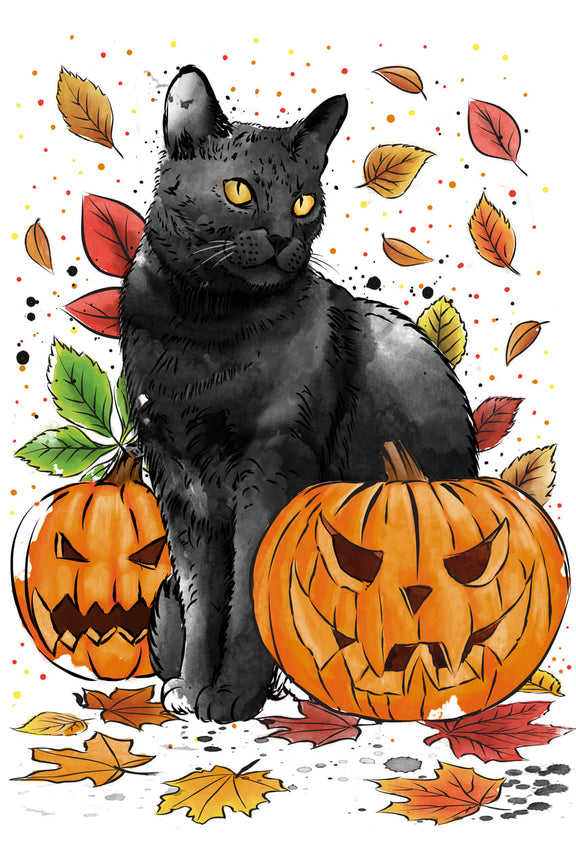 Cat and Pumpkins