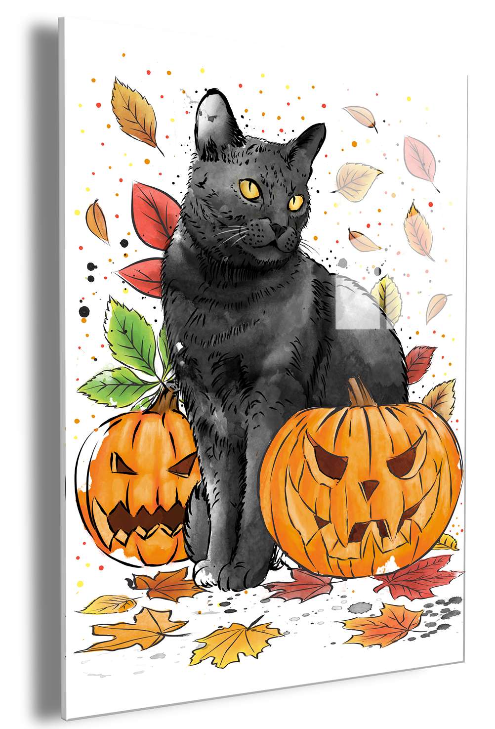 Cat and Pumpkins