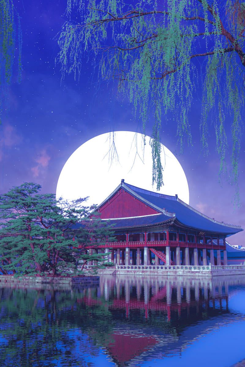 Cool Palace
