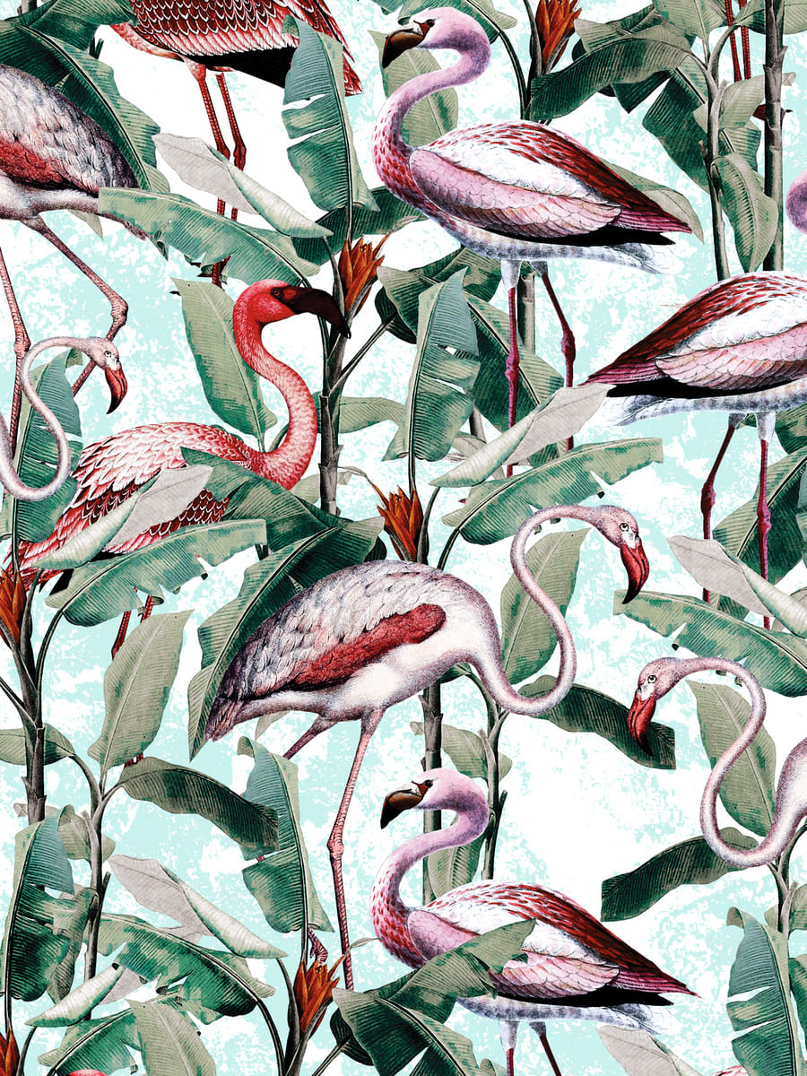 Floral and Flamingo