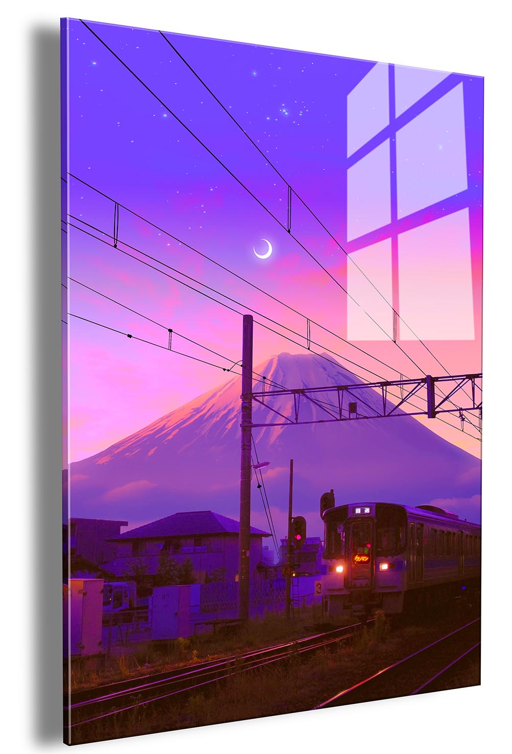 Fuji Train