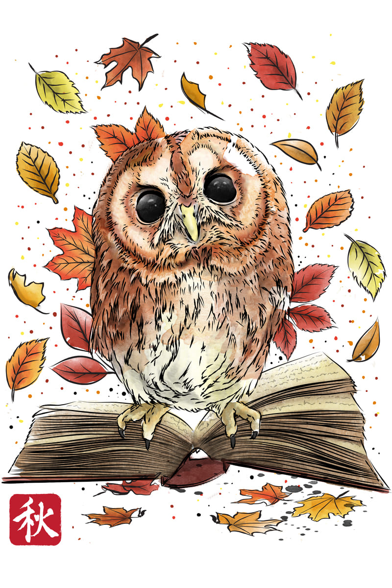 Owl Books