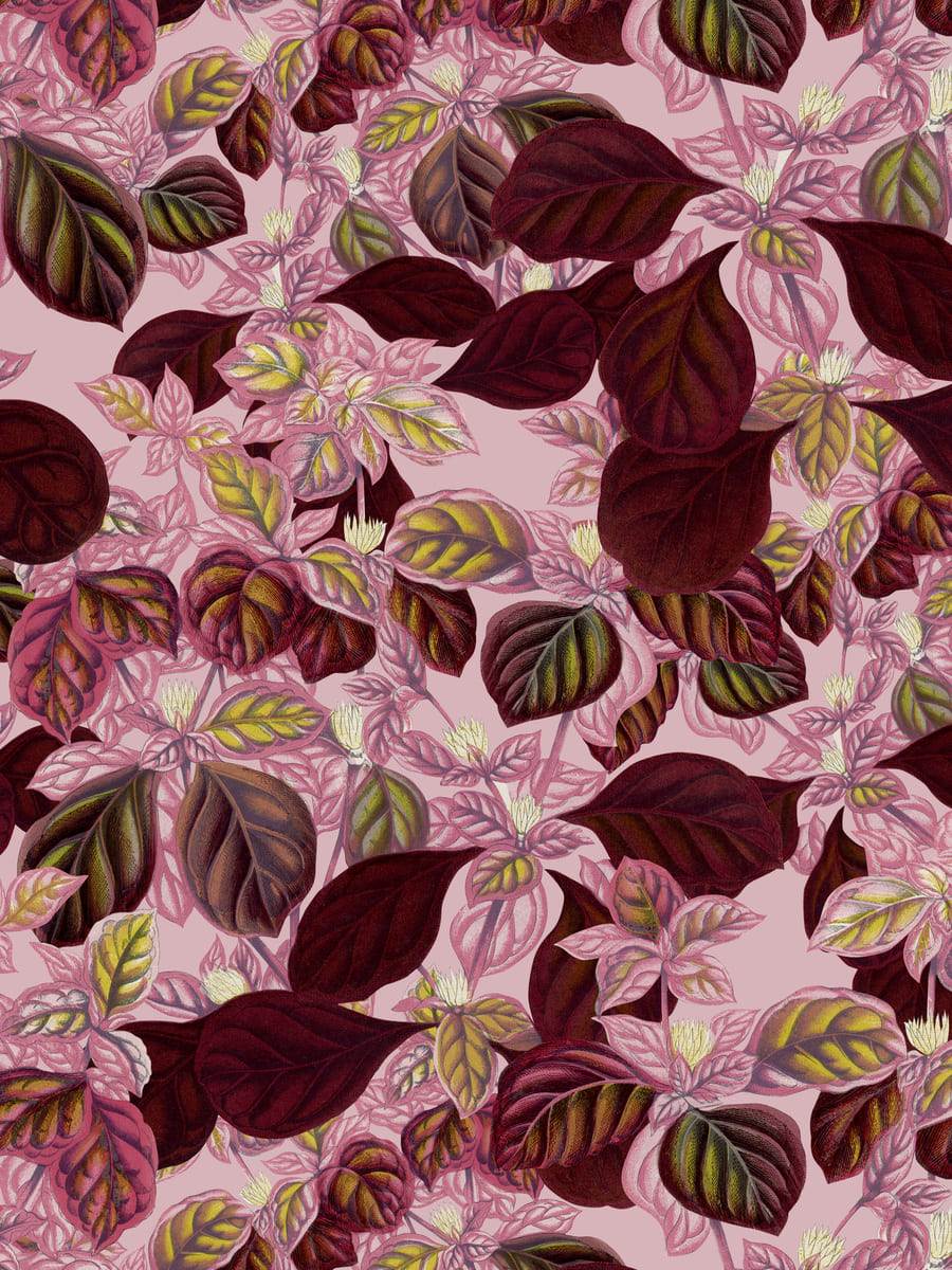 Pink Leaf Garden