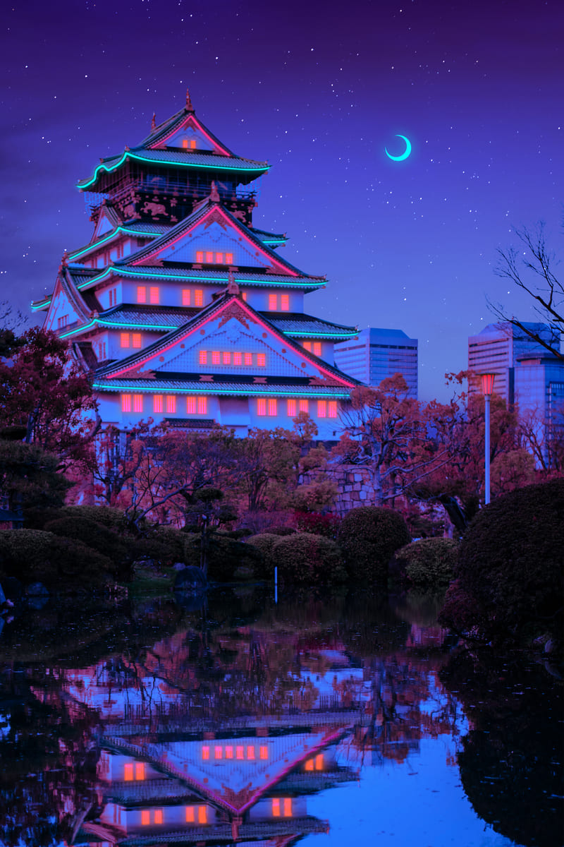 Sakura Night