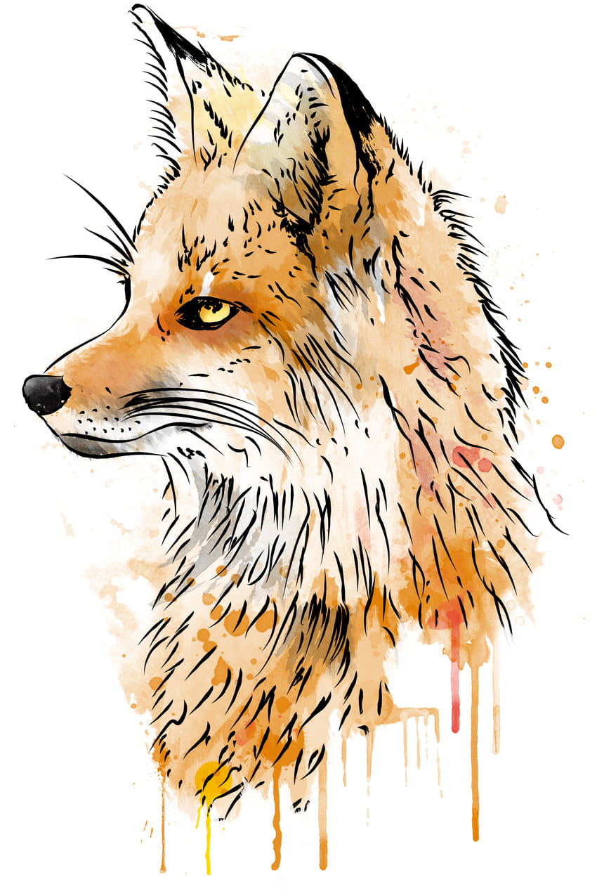 Fox watercolor