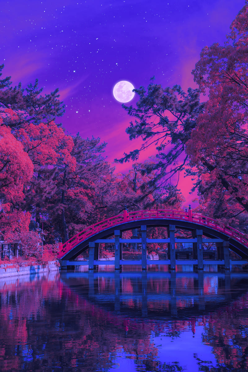 Magical Bridge