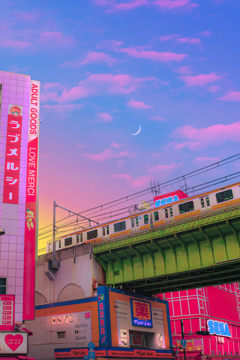 Shybuya Train
