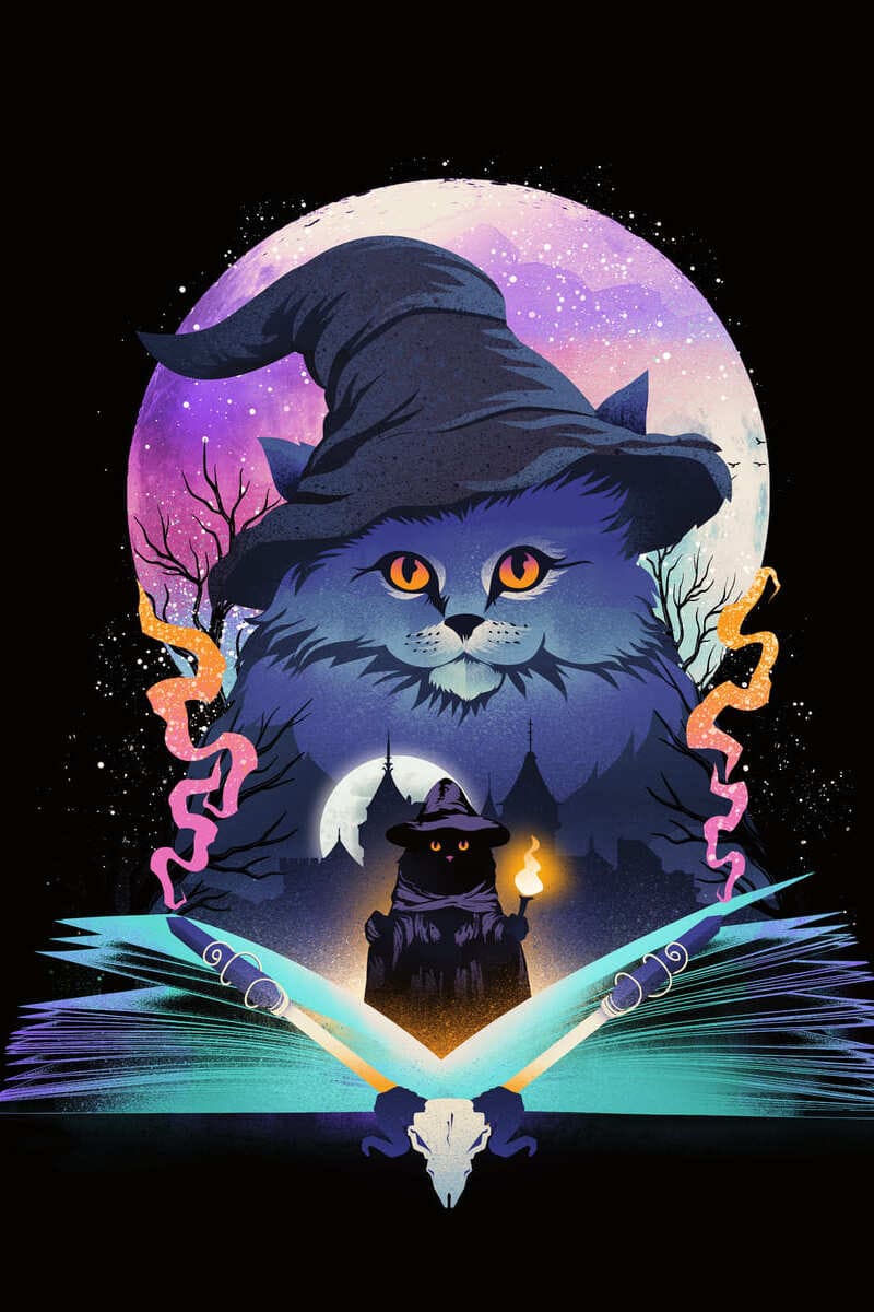 Book Catwizard