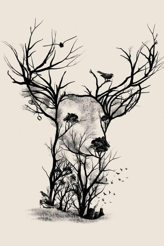 Deer Fajardo