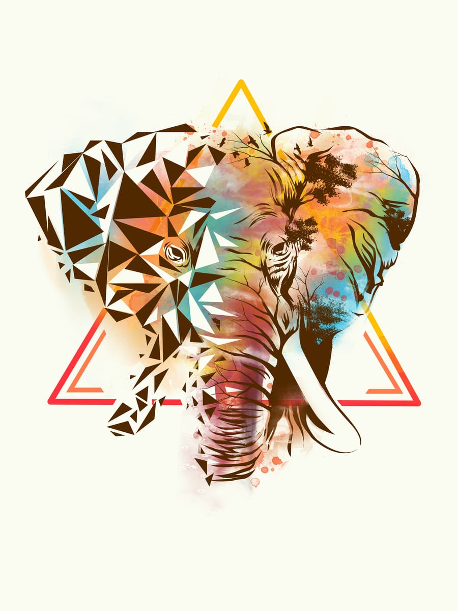 Elephant Geometric