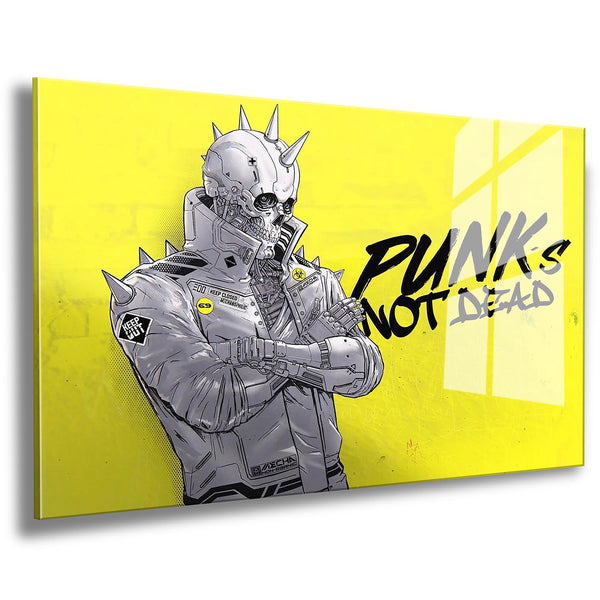 PUNKISNOTDEAD_b285376b-ab2e-