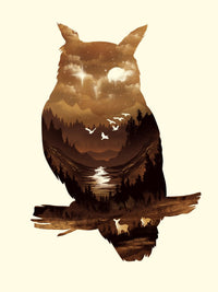 Shadow Owl