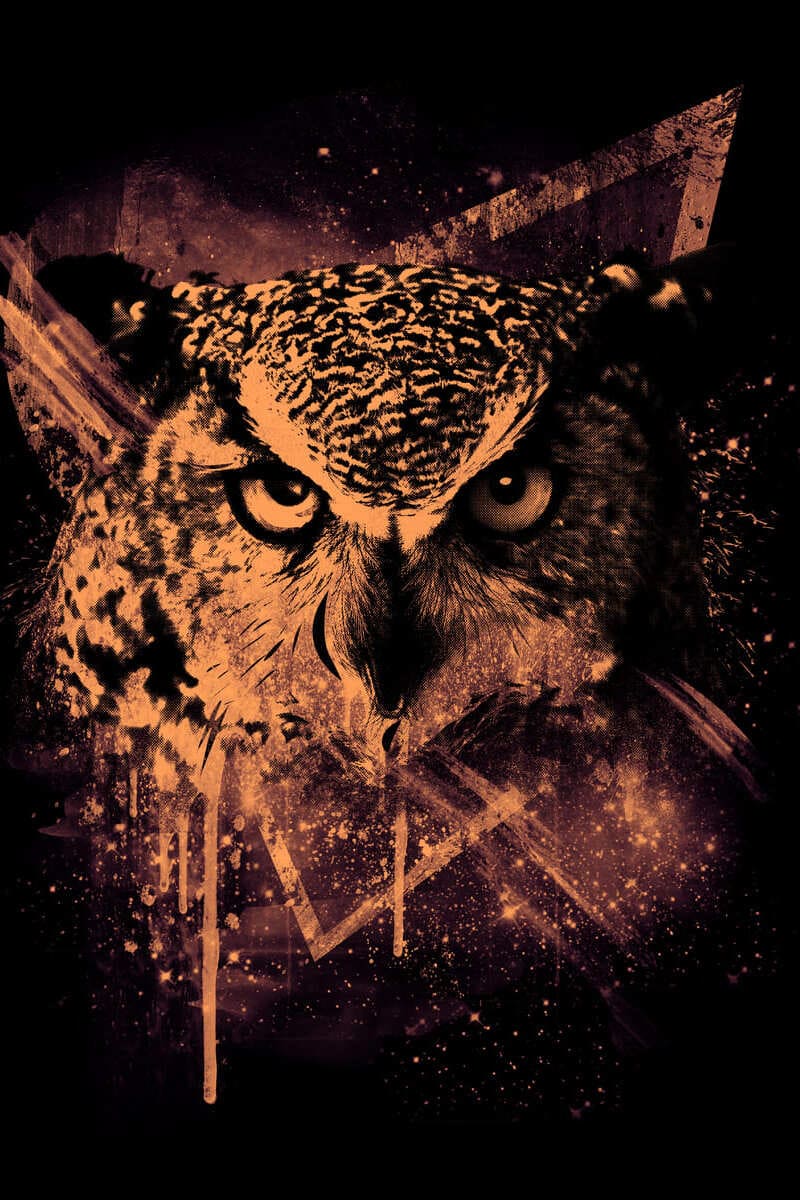 Cosmic Owl