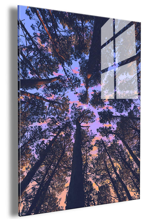 Forest View Panel Forest View – gallerypanda