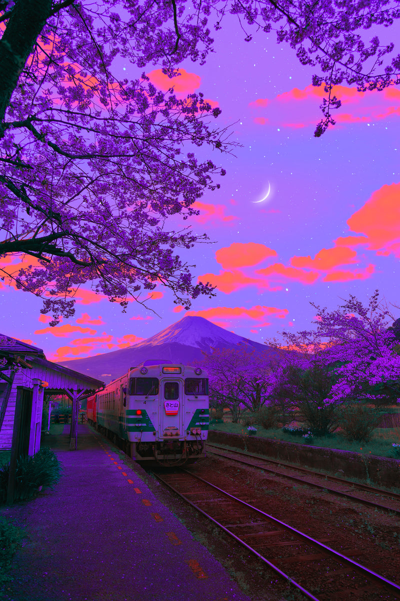 orange cotton clouds copia