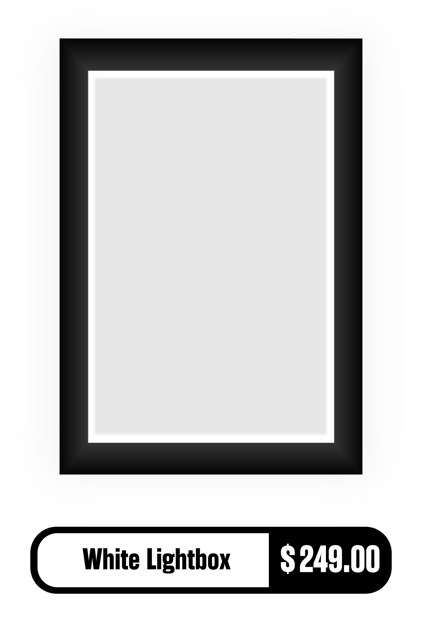 Gallery Panda