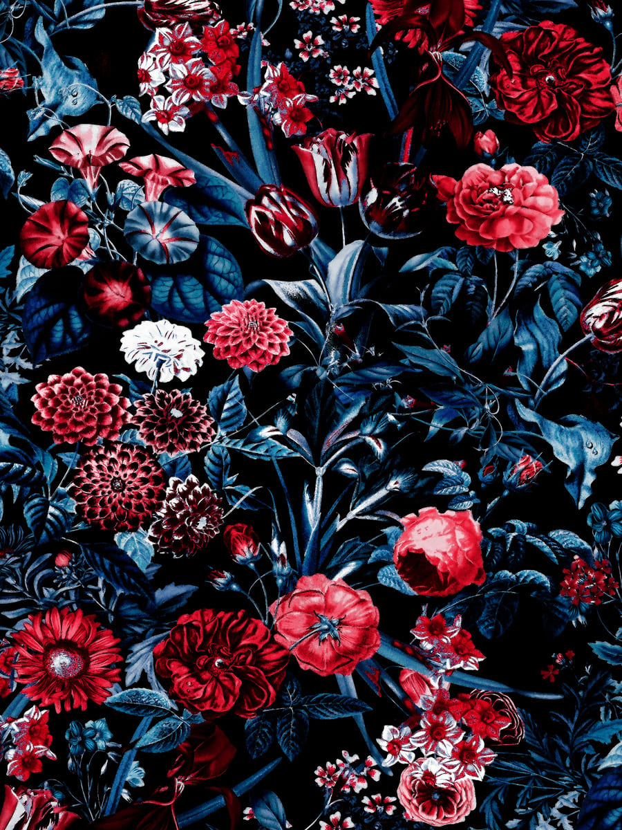 Favorite Colors
