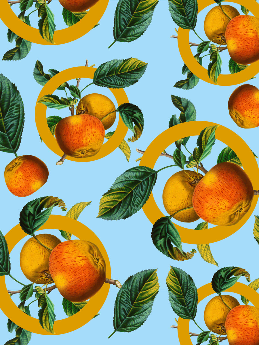 Fruit in vintage