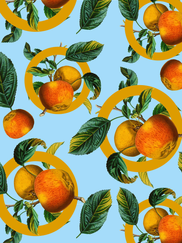 Fruit in vintage