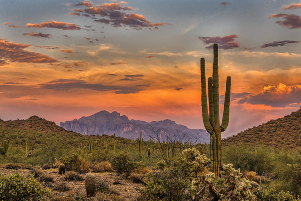 Sonoran Sunset