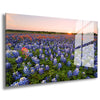 Shutterstock