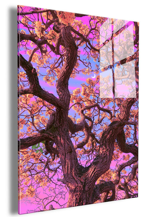 Trippy Trees